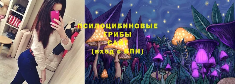 купить   Семилуки  Галлюциногенные грибы Magic Shrooms 